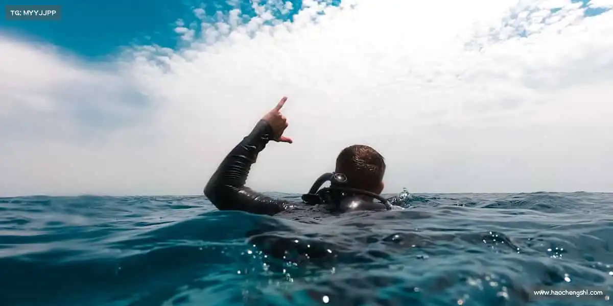 行业领先的理由